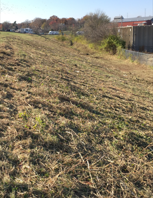 Missouri land clearing and brush hogging