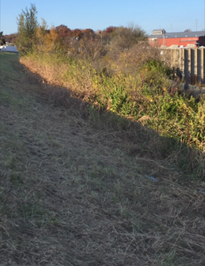 Missouri land clearing and brush hogging