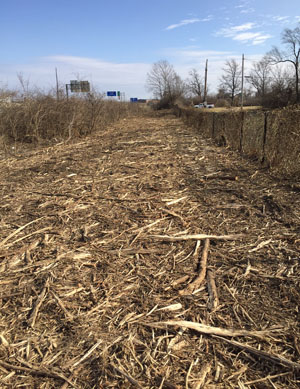 Missouri land clearing and brush hogging