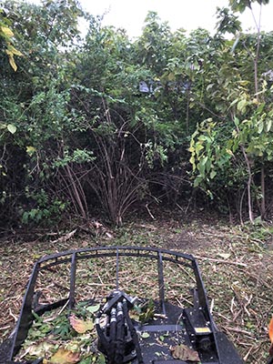 Missouri land clearing and brush hogging