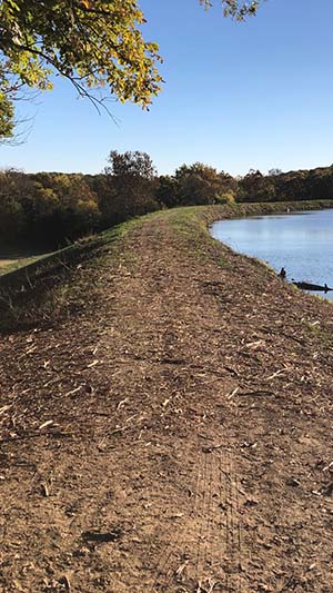 Missouri land clearing and brush hogging