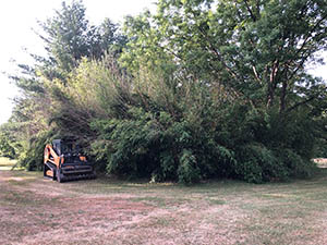 Missouri land clearing and brush hogging