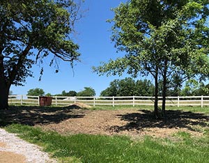 fence line clearing Missouri