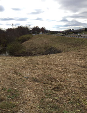 Missouri land clearing and brush hogging